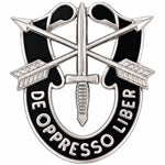 Special Forces Unit Crest Pin  DUI-SF
