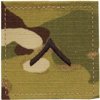 Scorpion Private (E-2)  Insignia Patch SV201