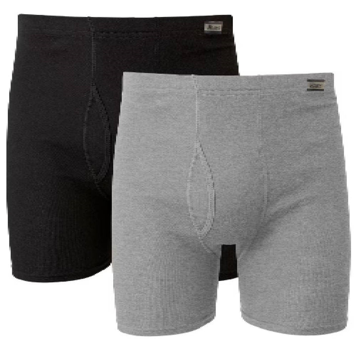 Hanes 2 Pack Color Boxer Briefs  - 7460VT