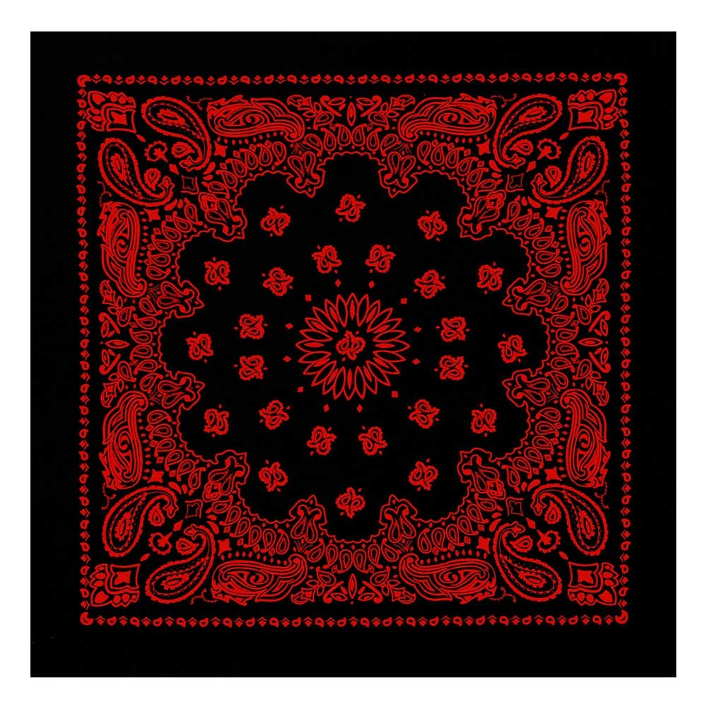 Rothco Trainmen Paisley Bandana 4043