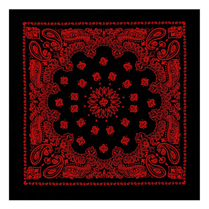 Rothco Trainmen Paisley Bandana 4043