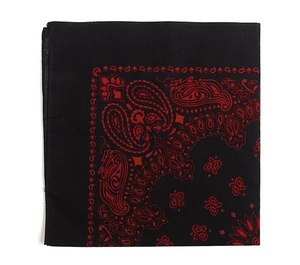 Rothco Trainmen Paisley Bandana 4043