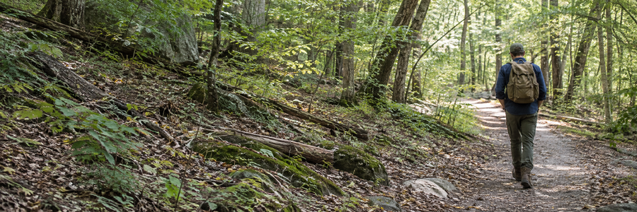 Illustrative hiker walking along a woodland trail