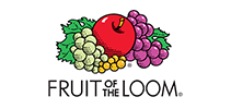 Fruit of the Loom V-Neck T-Shirt - 39VR